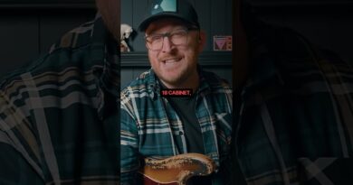 The SECRET to John Paul Jones' Bass Sound! ???????? #johnpauljones #ledzeppelin #rambleon