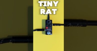 Tiny RAT - Flamma Black Distortion