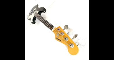 Vintage Japanese Basses: Guyatone Custom Shortscale Precision BASS DEMO / REVIEW