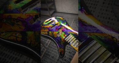 Warwick Custom Shop - #25-4755 - for Shavo Odadjian of System Of A Down | @systemofadown