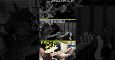 Warwick vs Ibanez vs Fender