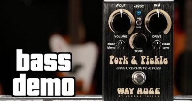 Way Huge Pork & Pickle Bass Demo