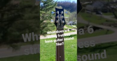 What Does a 6 String Fretless Bass Sound Like? ???? #shorts #guitar