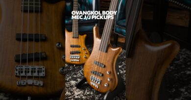 What's Your Pick?! | Warwick Thumb Teambuilt Fretted or Fretless?