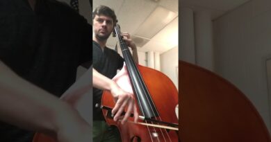 Wipe Out by the Surfaris - beginner bass