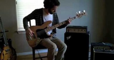 1969 Univox UB-250 Bass Amp