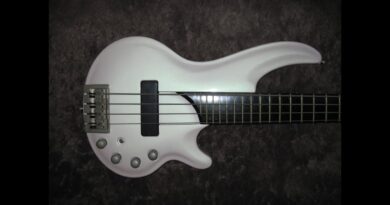 2005 Curbow Bass White Chameleon Not Really Cort Review By Scott Grove