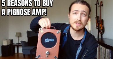 5 Reasons to buy a Pignose Amp!