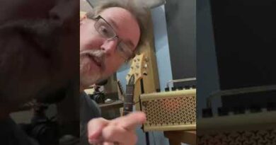 7 reasons to pick the Yamaha THR over the Positive Grid Spark Amp