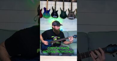 B H I  Guitars Review: A custom guitar from Italy??