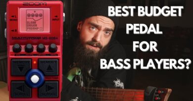 BEST BUDGET BASS PEDAL?! - Zoom MS-60B+ Review