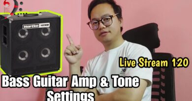 Bass Guitar Amp Tone settings - Nepali Bass Guitar Lesson Live Stream 120