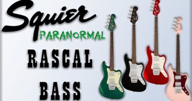 Bass Tone on a BUDGET? Squier Paranormal Rascal Bass Review