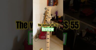 Bass guitar review the Watson JBS-55 Bass guitar #music #reviews #bassamp