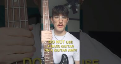 DO NOT use a bass guitar on a guitar amp #guitar #guitarist #guitaramp #bassamp #bassist #bassguitar