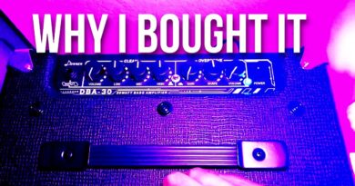 Donner DBA-30 Bass Amp Review (Not Sponsored)