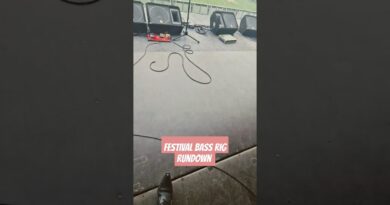Festival bass rig rundown #bass