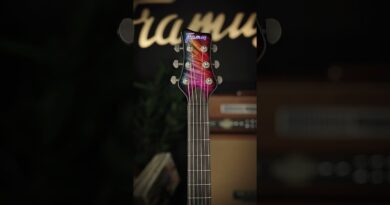 Framus Custom Shop #25-4603 | Stormbender Signature | for Devin Townsend #devintownsend