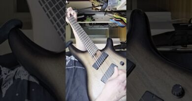 Hot Mod Odd or Univibe Jibe