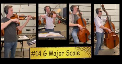 Intermediate Lesson #2: Songs 10-17