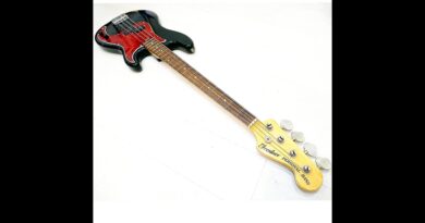 -Japan Vintage Basses: Fresher Personal Bass PB40 circa 1975 BASS DEMO / BASS REVIEW