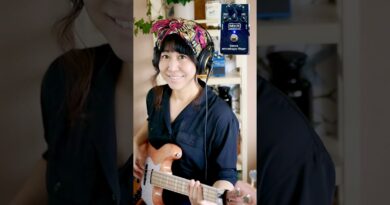 MXR bass envelope filter