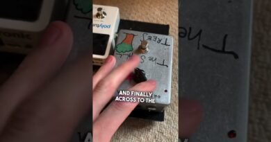 My Smallest Touring Bass Rig