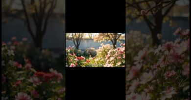 NEW instrumental Drill Music No Vocal #snite963 #bassboosted