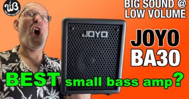 Only for home practice??? a review of the JOYO BA30 bass amp