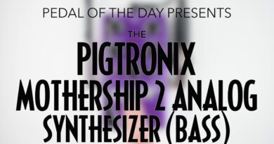 Pigtronix Mothership 2 Analog Synthesizer (Bass)