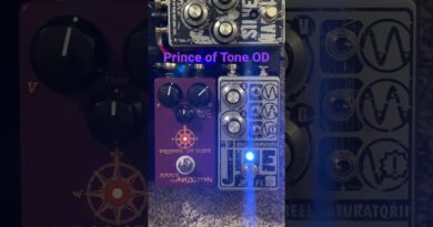 Prince of Tone by analogman and JPTR FX Jive Setting 2