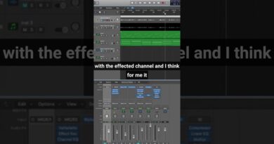 Record a BEAUTIFUL Fretless Bass Tone #shorts