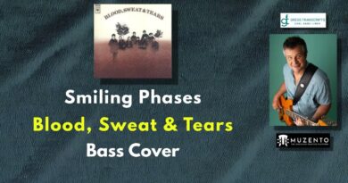Smiling Phases - Blood, Sweat & Tears - Bass Cover - Request