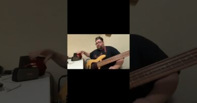 Spark go and spark mini comparison with a bass