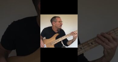 ???? Sterling Joe Dart Signature Bass – $400 Funk Machine