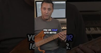 The Most Famous Bass Power Chord Riff? RHCP – Don’t Forget Me