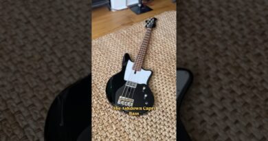 The coolest short scale bass I’ve ever owned!