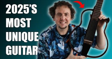 10 Reasons why every guitarist needs to try the Sonicake Acoustic-Electric Travel Guitar!