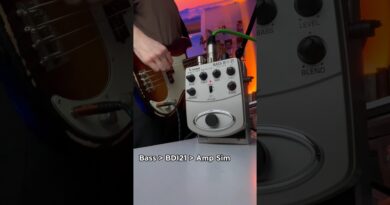 £40 Sansamp clone ???? #behringer #basspedal #sansamp