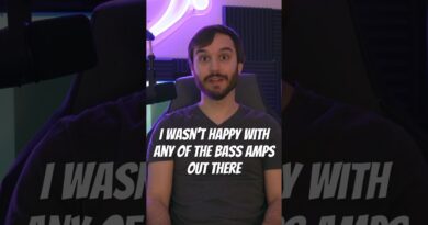 A Bass Player Made This Amp Sim? #bass #basstone #ampsim