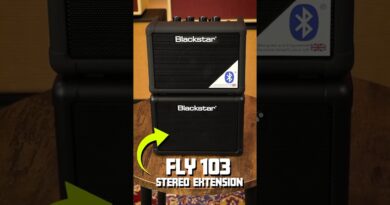 BLACKSTAR FLY 3 CHARGE MINI AMP - small size HUGE SOUND!!!