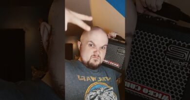 Battery Powered Guitar Amps