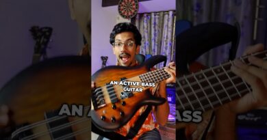 Best Bass for Beginners? Cort C5 Plus