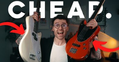 Brand NEW Budget Basses! | Hartwood Satellite & Delta Review