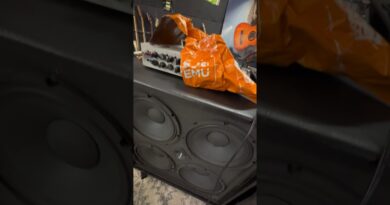 DONT TRUST TEMU????#temu #temuhaul #temufinds #bass #newamp #newgearday #scammed #trustnoone #fender