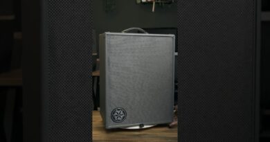 Did This Bass Amp Just Replace My Pedalboard? #travisdykes #bass #darkglass