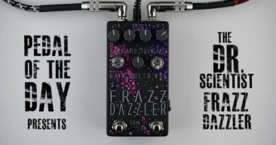 Dr. Scientist Frazz Dazzler Fuzz
