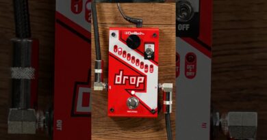 Drop Tuning Pedal For Bass Guitars?
