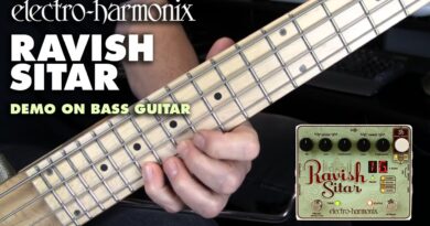 Electro-Harmonix Ravish Sitar Emulator Pedal (Bass Guitar Demo by Bill Ruppert)