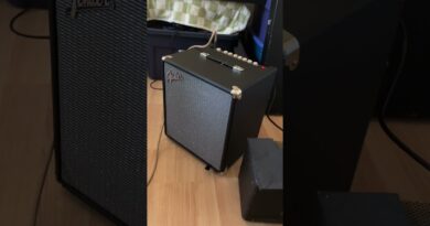 Fender Rumble 100 Bass Amp